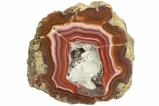 Colorful, Polished Condor Agate - Argentina #209618