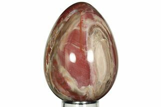 Colorful, Polished Petrified Wood Egg - Madagascar #211130