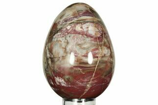 Colorful, Polished Petrified Wood Egg - Madagascar #211141