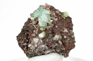 Cuprian Adamite Crystals on Matrix - Ojuela Mine, Mexico #211968