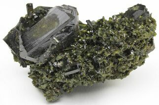 Lustrous, Dark-Green, Epidote Crystals on Actinolite - Pakistan #213434