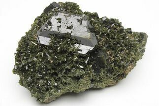 Lustrous, Epidote Crystal Cluster on Actinolite - Pakistan #213437
