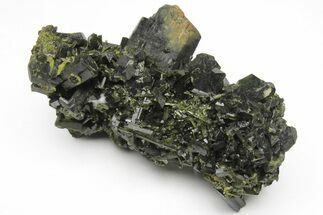 Lustrous, Epidote Crystal Cluster on Actinolite - Pakistan #213438