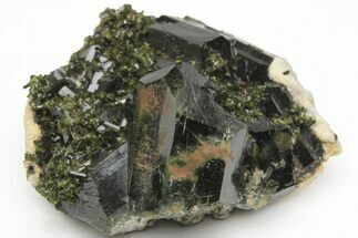 Lustrous, Epidote Crystal Cluster on Actinolite - Pakistan #213444
