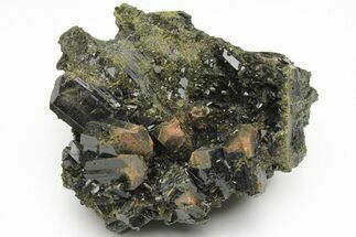 Lustrous, Epidote Crystal Cluster on Actinolite - Pakistan #213445