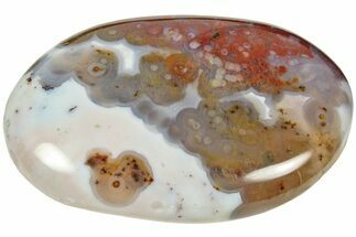Polished Ocean Jasper Stone - New Deposit #213480