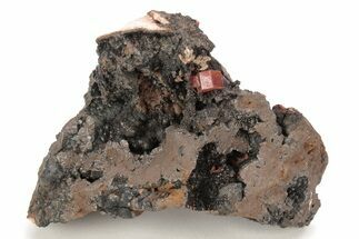 Small, Red Vanadinite Crystals on Manganese Oxide - Morocco #212003