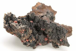 Small, Red Vanadinite Crystals on Manganese Oxide - Morocco #212012