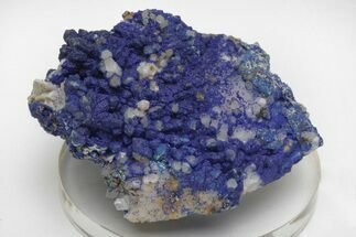Vivid-Blue Azurite Encrusted Quartz Crystals - China #213832