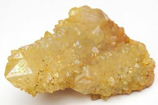 Sunshine Cactus Quartz Crystal Cluster - South Africa #212658