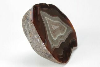 Polished Black River Agate - Argentina #209638
