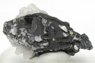 Metallic Wodginite Crystals - Brazil #214502