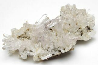 Amethyst Crystal Cluster - Las Vigas, Mexico #204533