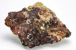 Thin, Yellow Wulfenite Crystals - Lucin, Utah #214810