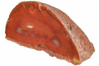 Colorful, Polished Patagonia Agate - Argentina #214911