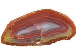 Colorful, Polished Patagonia Agate - Highly Fluorescent! #214921