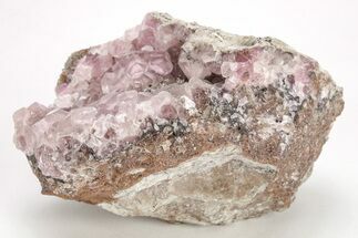 Cobaltoan Calcite Crystal Cluster - Bou Azzer, Morocco #215063