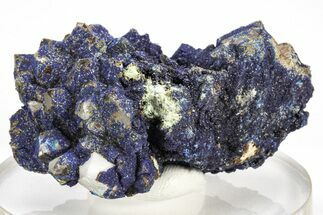 Sparkling, Blue Azurite Encrusted Quartz Crystals - China #213818