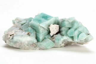 Amazonite Crystal Cluster - Percenter Claim, Colorado #214887