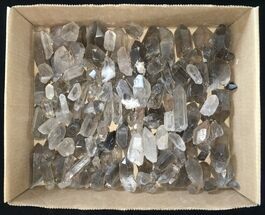 Clearance Lot: Brazil Smoky Quartz Crystals - Pieces #215241