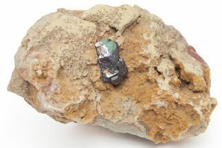 Azurite and Malachite Crystal on Matrix - Morocco #215041