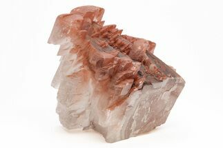 Pagoda Style Calcite Crystals on Calcite - Fluorescent! #215902