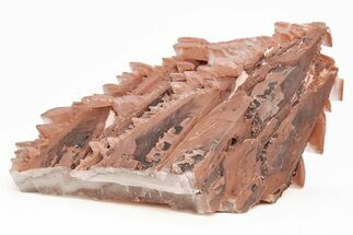 Pagoda Style Calcite Crystals on Calcite - Fluorescent! #215912