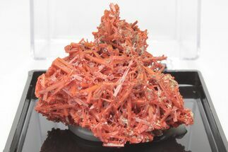 Bright Orange Crocoite Crystal Cluster - Tasmania #206929