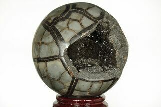 Polished Septarian Geode Sphere - Madagascar #215597