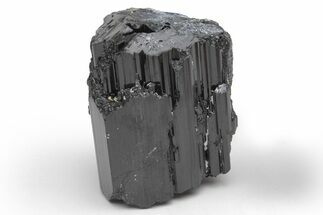 Lustrous Black Tourmaline (Schorl) Crystal - Madagascar #217272