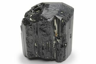 Lustrous Black Tourmaline (Schorl) Crystal - Madagascar #217279