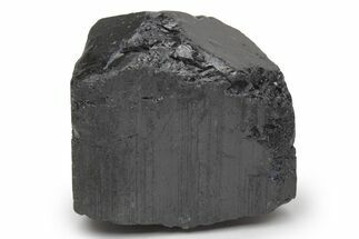 Terminated Black Tourmaline (Schorl) Crystal - Madagascar #217282