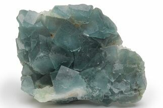 Cubic, Blue-Green Fluorite Crystal Cluster with Phantoms - China #217461