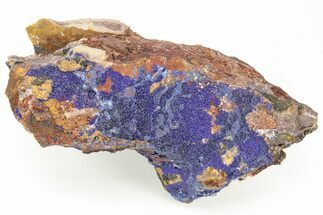 Azurite and Malachite Association on Matrix - Morocco #217778