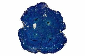 Vivid Blue, Cut/Polished Azurite Nodule Slice - Siberia #209514