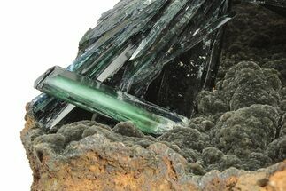 Gemmy, Emerald-Green Vivianite Crystal Cluster - Brazil #218246