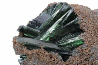 Emerald-Green Vivianite Crystals in Phosphatic Nodule - Brazil #218181