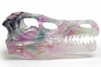 Colorful, Carved, Banded Fluorite Dinosaur Skull #218477