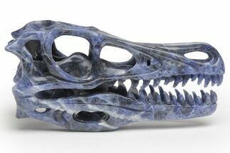 Carved Sodalite Dinosaur Skull #218481