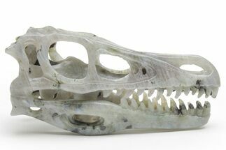 Carved Labradorite Dinosaur Skull #218488