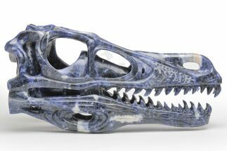 Carved Sodalite Dinosaur Skull - Roar! #218506