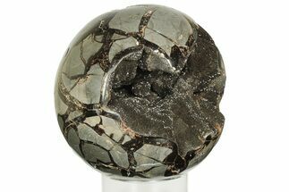 Polished, Septarian Geode Sphere - Madagascar #219112