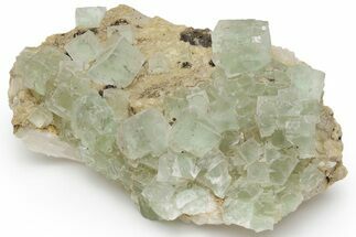 Green Cubic Fluorite Crystal Cluster on Calcite - Morocco #219279