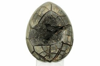 Septarian Dragon Egg Geode - Black Crystals #219113