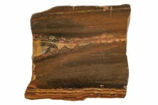 Polished Packsaddle Tiger Eye Slab - Western Australia #216750