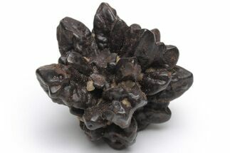 Goethite (Limonite) Pseudomorph after Pyrite/Marcasite - Egypt #219747