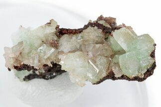 Cuprian Adamite Crystals on Matrix - Ojuela Mine, Mexico #219813