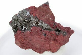 Scorodite Crystals on Matrix - Ojuela Mine, Mexico #219863