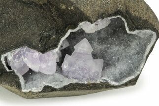 Amethyst Crystals on Sparkling Quartz Chalcedony - India #220126