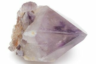 Cactus Quartz (Amethyst) Crystal - South Africa #220009